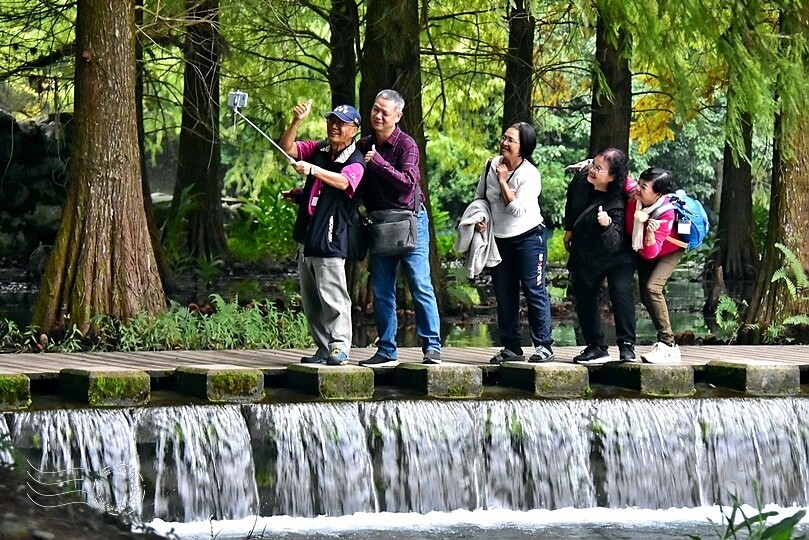 花蓮【雲山水】：牛奶色夢幻湖，冬之落羽松如北國之境