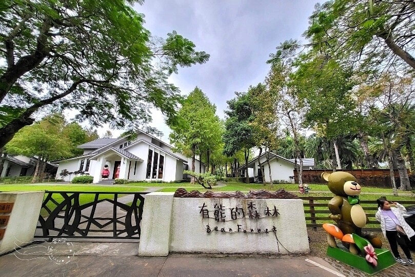 花蓮【雲山水】：牛奶色夢幻湖，冬之落羽松如北國之境