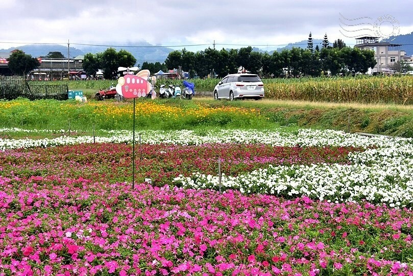 2023臺中國際花毯節美食區 2023臺中國際花毯節美食區