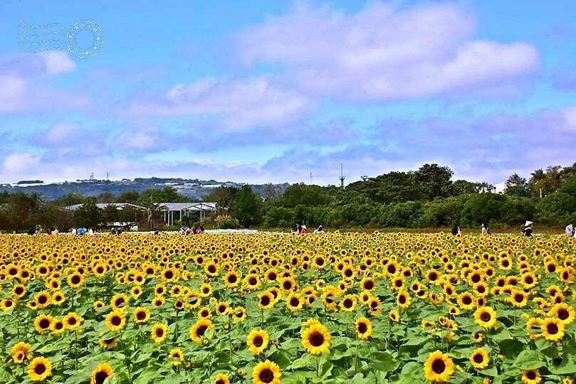 2023臺中國際花毯節 2023臺中國際花毯節