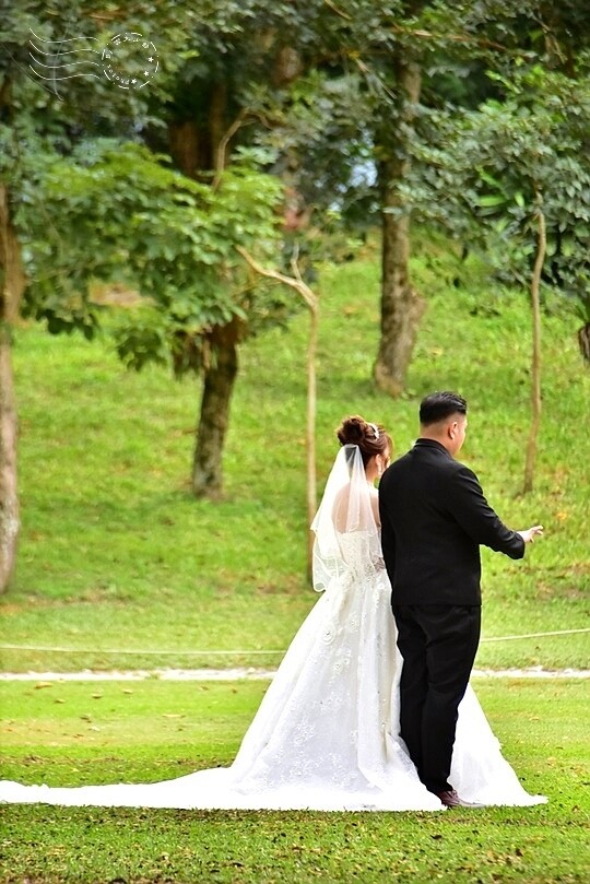 花蓮【雲山水】：牛奶色夢幻湖，冬之落羽松如北國之境