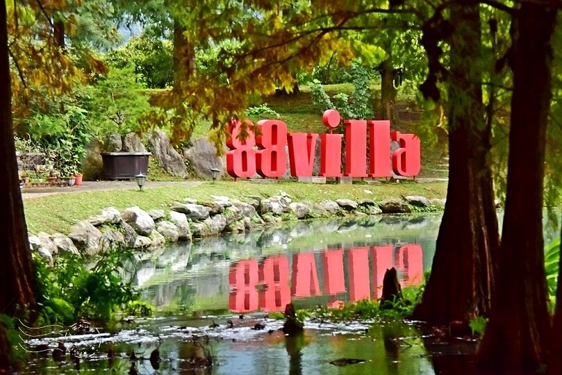 花蓮【雲山水】：牛奶色夢幻湖，冬之落羽松如北國之境