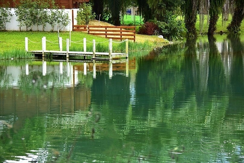 花蓮【雲山水】：牛奶色夢幻湖，冬之落羽松如北國之境