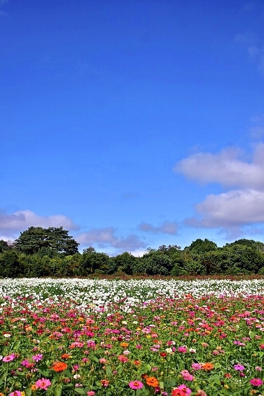 DSC_1958-1.JPG DSC_1958-1.JPG