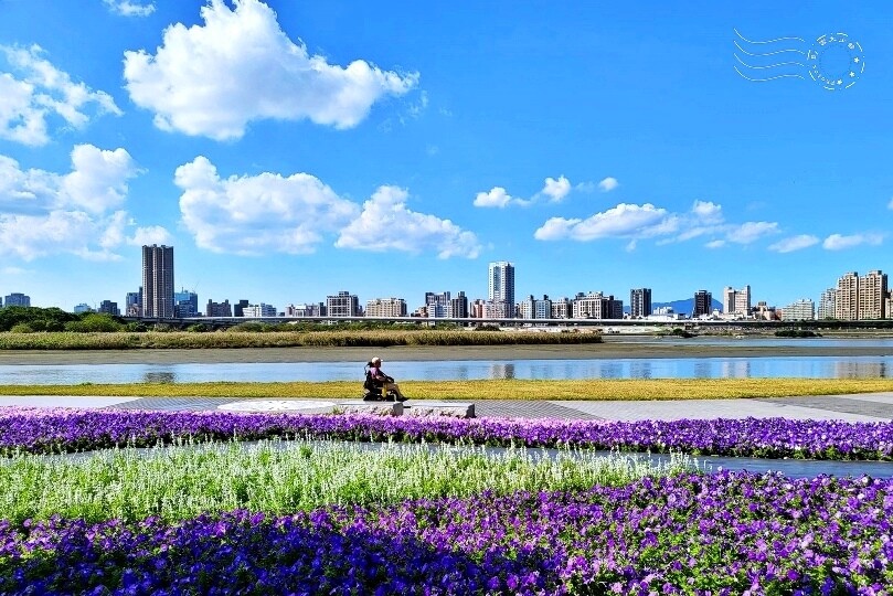 2023延平河濱公園花海