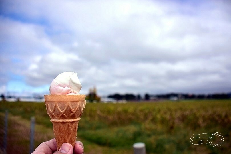 2023臺中國際花毯節 2023臺中國際花毯節