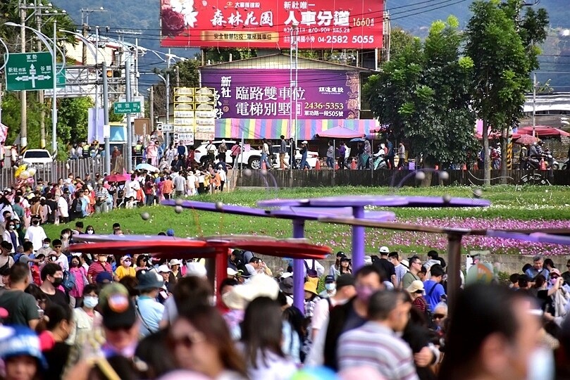 2023臺中國際花毯節 2023臺中國際花毯節