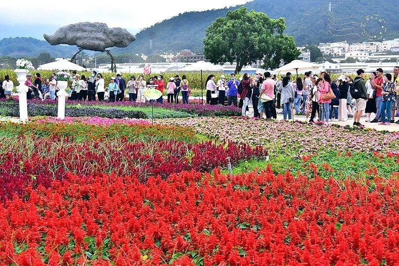 2023臺中國際花毯節 2023臺中國際花毯節