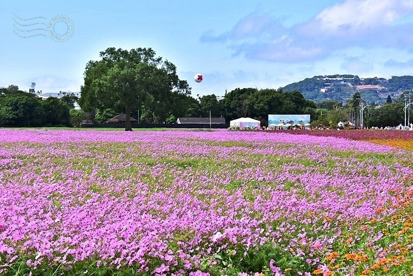 2023臺中國際花毯節美食區 2023臺中國際花毯節美食區