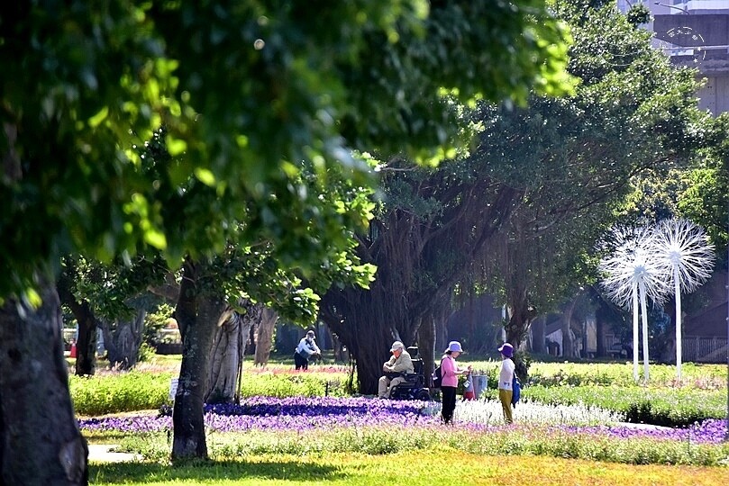 2023延平河濱公園花海