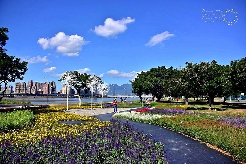 2023延平河濱公園花海