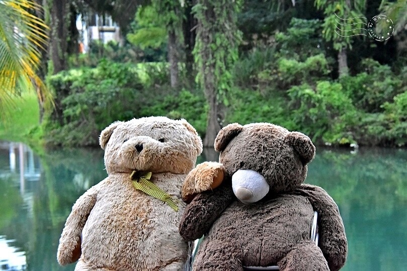 花蓮【雲山水】：牛奶色夢幻湖，冬之落羽松如北國之境