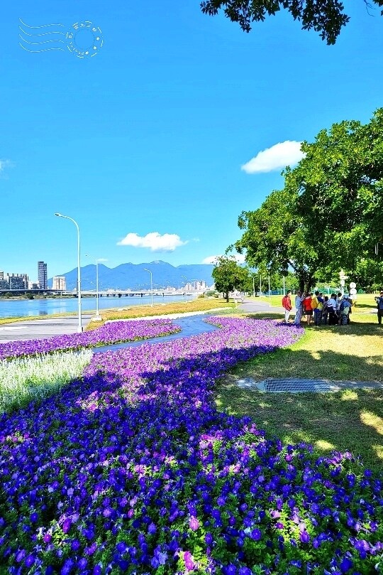 2023延平河濱公園花海