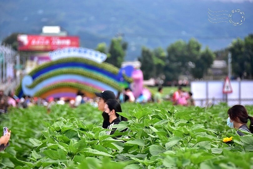 2023臺中國際花毯節美食區 2023臺中國際花毯節美食區