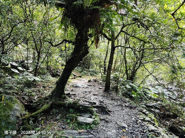 2023宜蘭冬山、新寮瀑布步道|2023宜蘭員山、北后寺~