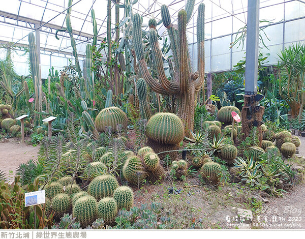 綠世界生態農場-116.jpg