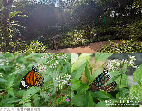 綠世界生態農場-75.jpg