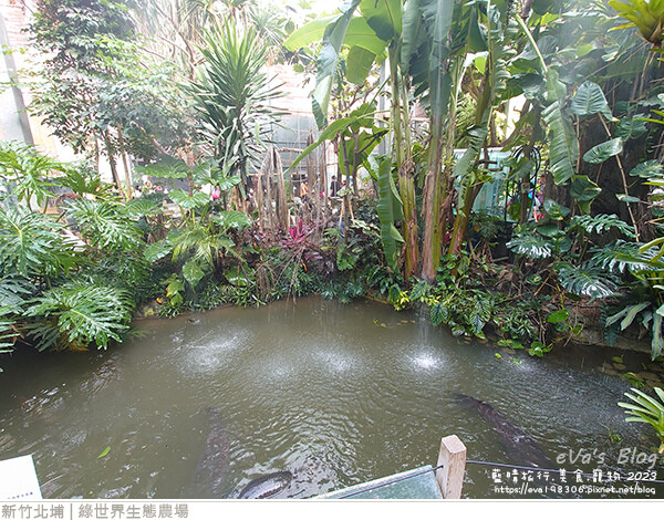 綠世界生態農場-81.jpg