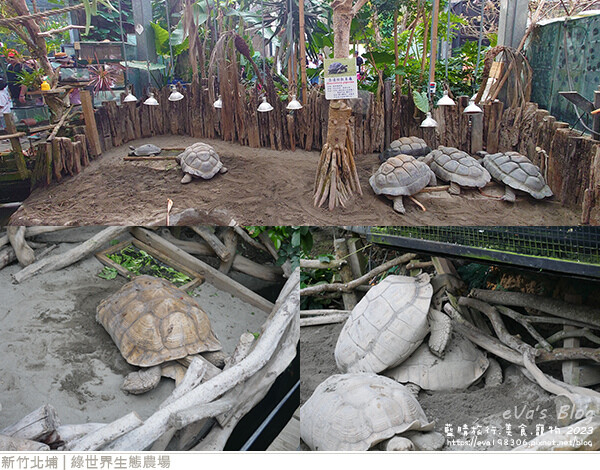 綠世界生態農場-87.jpg