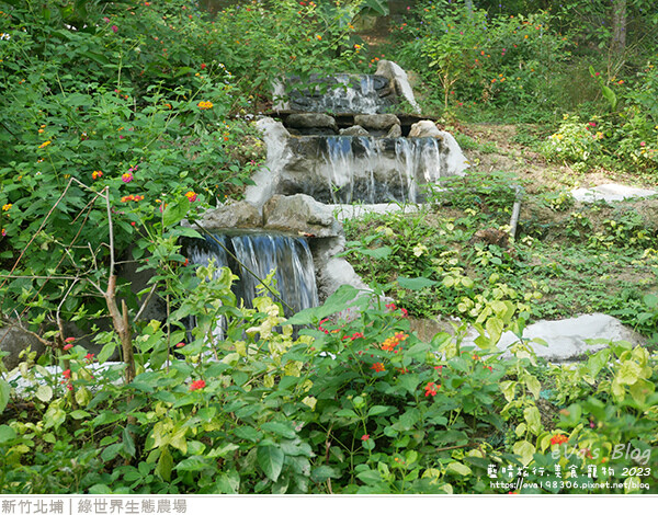 綠世界生態農場-76.jpg