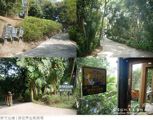 綠世界生態農場-59.jpg