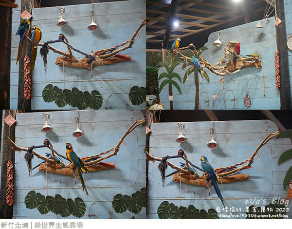 綠世界生態農場-101.jpg