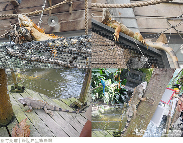 綠世界生態農場-85.jpg