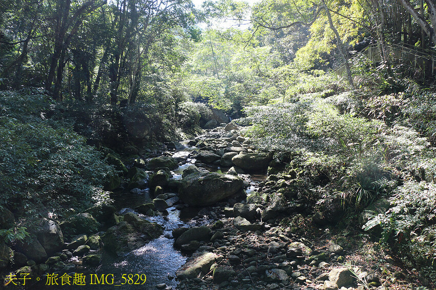 南庄秘境遊 四十二份湧泉自然生態步道 X 蓬萊溪護魚步道