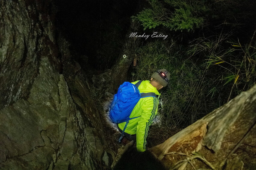 【白姑大山2天1夜】B級百岳｜中橫四辣特辣｜司晏池營地紮營。行程記錄、水源資訊 - 貪吃猴的幻想