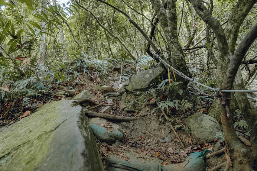 【苗栗泰安】水雲三星之首-虎山｜號稱中級山的大霸尖山，登山攻略。停車資訊 - 貪吃猴的幻想