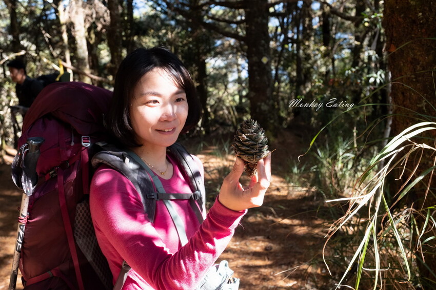 【白姑大山2天1夜】B級百岳｜中橫四辣特辣｜司晏池營地紮營。行程記錄、水源資訊 - 貪吃猴的幻想