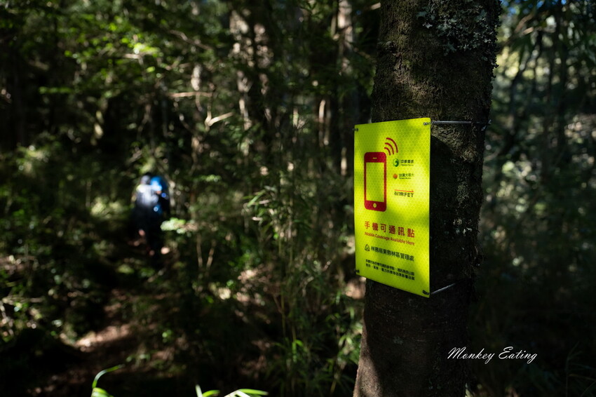 【白姑大山2天1夜】B級百岳｜中橫四辣特辣｜司晏池營地紮營。行程記錄、水源資訊 - 貪吃猴的幻想