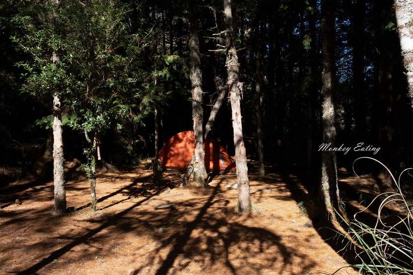 【白姑大山2天1夜】B級百岳｜中橫四辣特辣｜司晏池營地紮營。行程記錄、水源資訊 - 貪吃猴的幻想