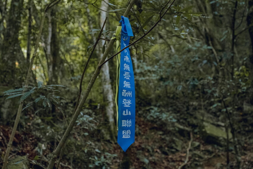 【苗栗泰安】水雲三星之首-虎山｜號稱中級山的大霸尖山，登山攻略。停車資訊 - 貪吃猴的幻想