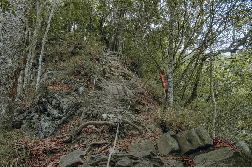 【苗栗泰安】水雲三星之首-虎山｜號稱中級山的大霸尖山，登山攻略。停車資訊 - 貪吃猴的幻想