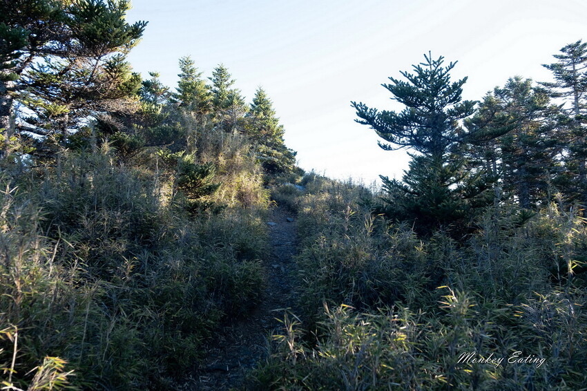【白姑大山2天1夜】B級百岳｜中橫四辣特辣｜司晏池營地紮營。行程記錄、水源資訊 - 貪吃猴的幻想