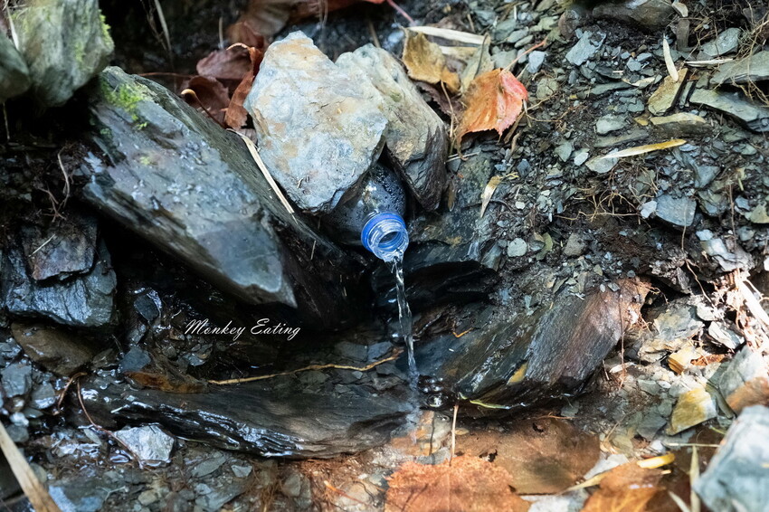 【白姑大山2天1夜】B級百岳｜中橫四辣特辣｜司晏池營地紮營。行程記錄、水源資訊 - 貪吃猴的幻想