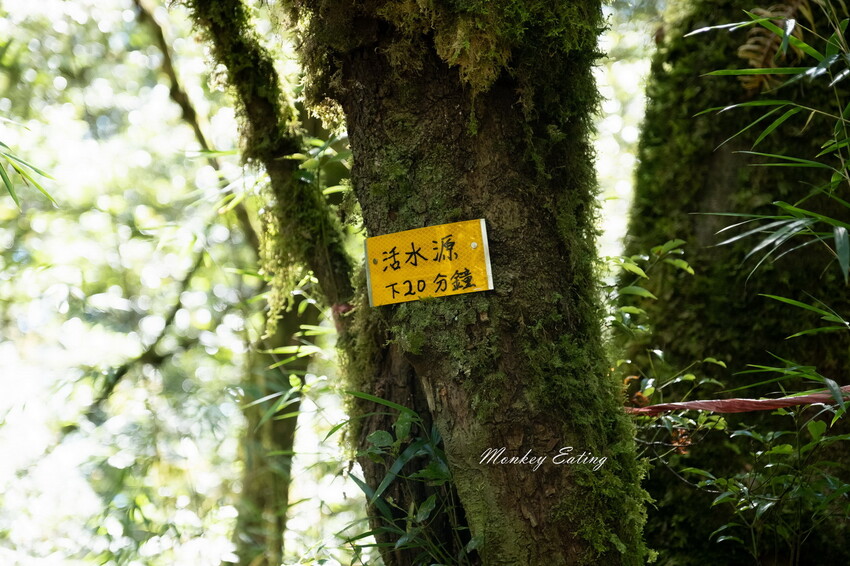 【白姑大山2天1夜】B級百岳｜中橫四辣特辣｜司晏池營地紮營。行程記錄、水源資訊 - 貪吃猴的幻想