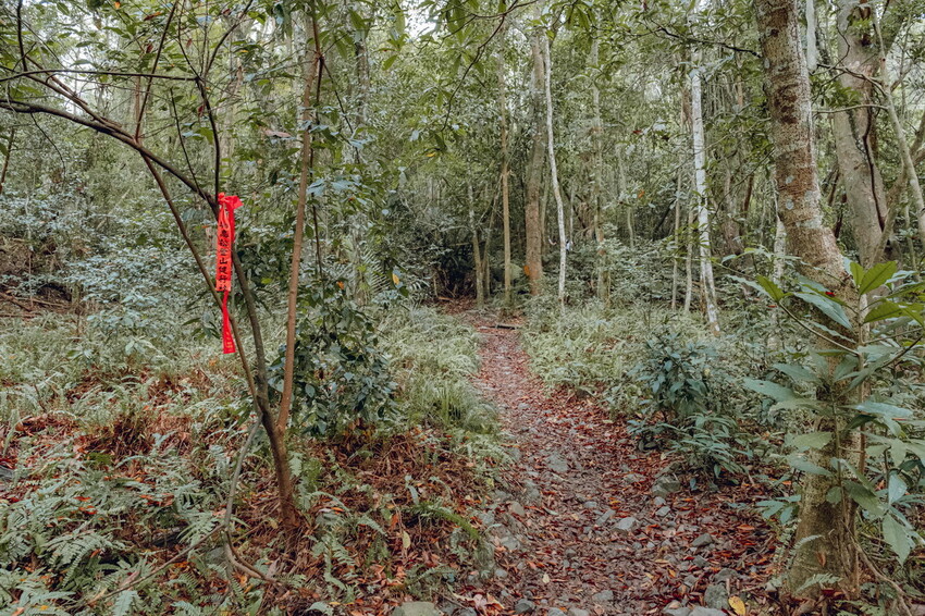 【苗栗泰安】水雲三星之首-虎山｜號稱中級山的大霸尖山，登山攻略。停車資訊 - 貪吃猴的幻想