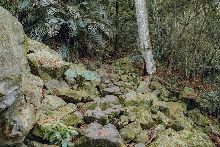 【苗栗泰安】水雲三星之首-虎山｜號稱中級山的大霸尖山，登山攻略。停車資訊 - 貪吃猴的幻想