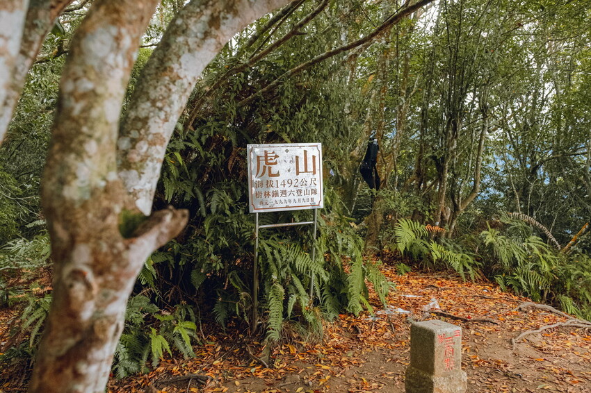【苗栗泰安】水雲三星之首-虎山｜號稱中級山的大霸尖山，登山攻略。停車資訊 - 貪吃猴的幻想