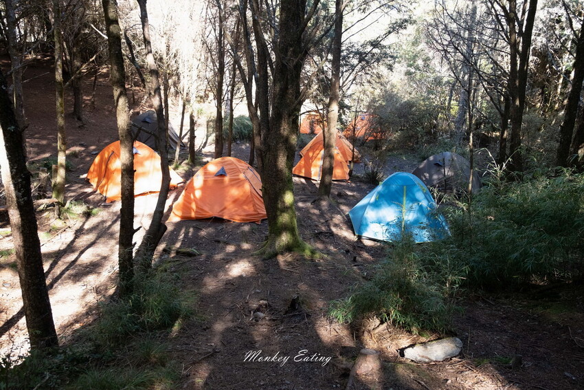 【白姑大山2天1夜】B級百岳｜中橫四辣特辣｜司晏池營地紮營。行程記錄、水源資訊 - 貪吃猴的幻想