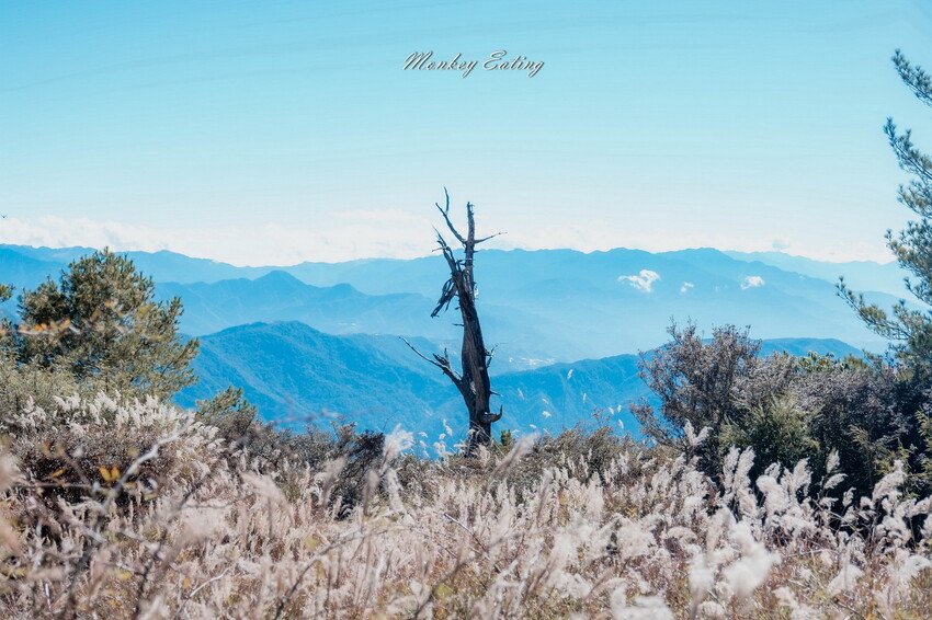 【白姑大山2天1夜】B級百岳｜中橫四辣特辣｜司晏池營地紮營。行程記錄、水源資訊 - 貪吃猴的幻想