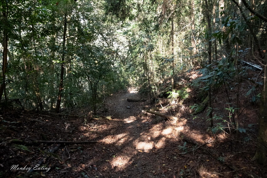 【白姑大山2天1夜】B級百岳｜中橫四辣特辣｜司晏池營地紮營。行程記錄、水源資訊 - 貪吃猴的幻想