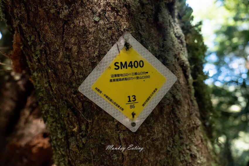 【白姑大山2天1夜】B級百岳｜中橫四辣特辣｜司晏池營地紮營。行程記錄、水源資訊 - 貪吃猴的幻想