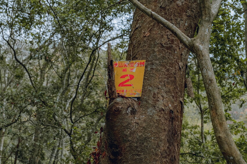 【苗栗泰安】水雲三星之首-虎山｜號稱中級山的大霸尖山，登山攻略。停車資訊 - 貪吃猴的幻想