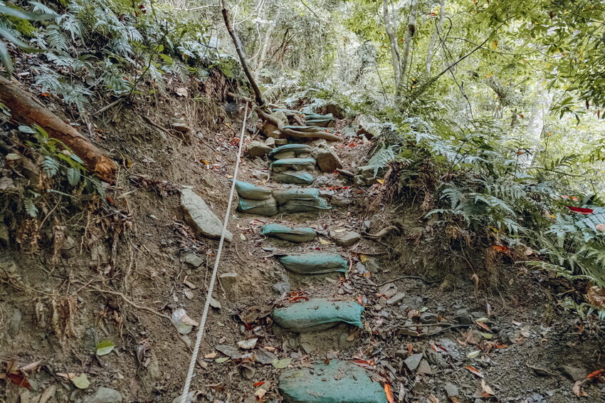 【苗栗泰安】水雲三星之首-虎山｜號稱中級山的大霸尖山，登山攻略。停車資訊 - 貪吃猴的幻想