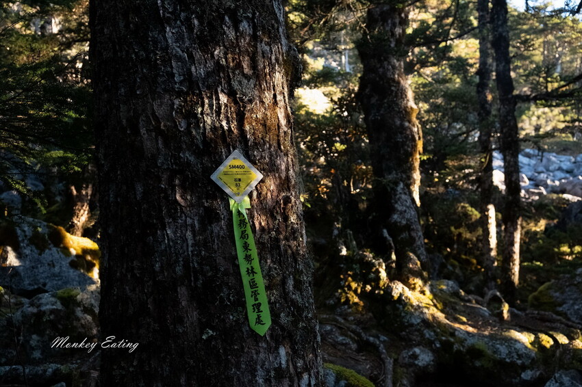 【白姑大山2天1夜】B級百岳｜中橫四辣特辣｜司晏池營地紮營。行程記錄、水源資訊 - 貪吃猴的幻想