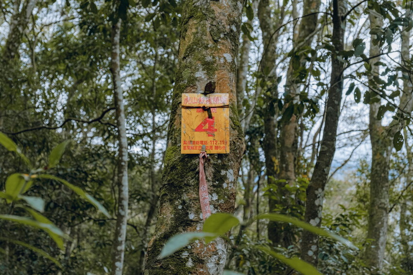 【苗栗泰安】水雲三星之首-虎山｜號稱中級山的大霸尖山，登山攻略。停車資訊 - 貪吃猴的幻想