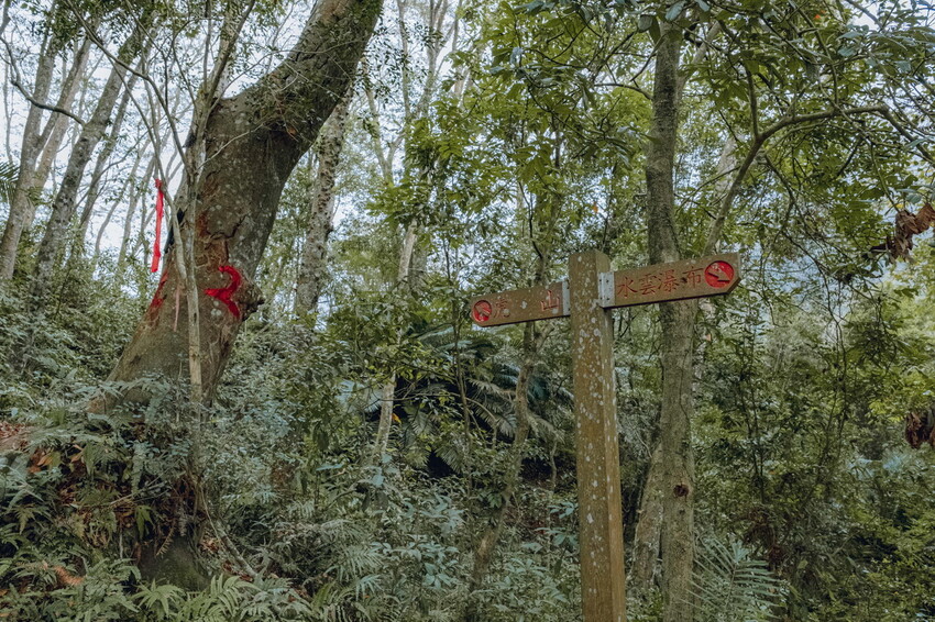 【苗栗泰安】水雲三星之首-虎山｜號稱中級山的大霸尖山，登山攻略。停車資訊 - 貪吃猴的幻想